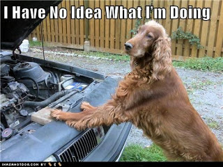 93761d1383596911-i-have-no-idea-what-im-doing-funny-dog-pictures-i-have-no-idea-what-im-doing-jpg