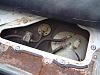 Walbro 190hp Install-exposed-jpg