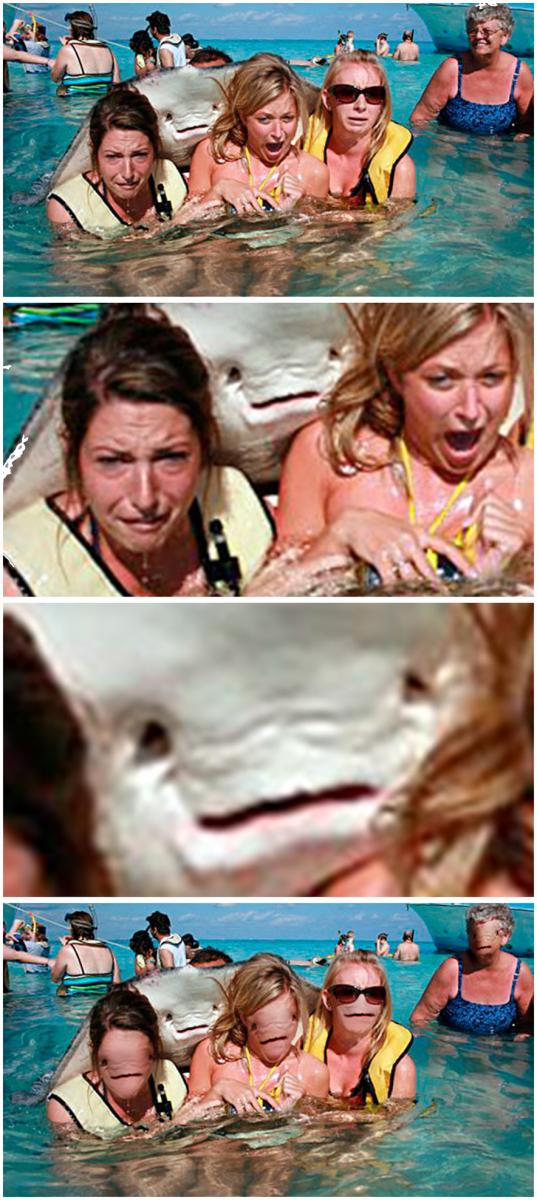55961-random-picture-thread-%2Akeep-sfw-%2A-also-videos-pictures-too-rayface-jpg