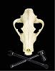 2nd Introduction-wolfskull-jpg