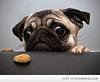 MY BRAKES BROKE free cookie inside-014220e44a3c65a97912c56871a047f8-jpg