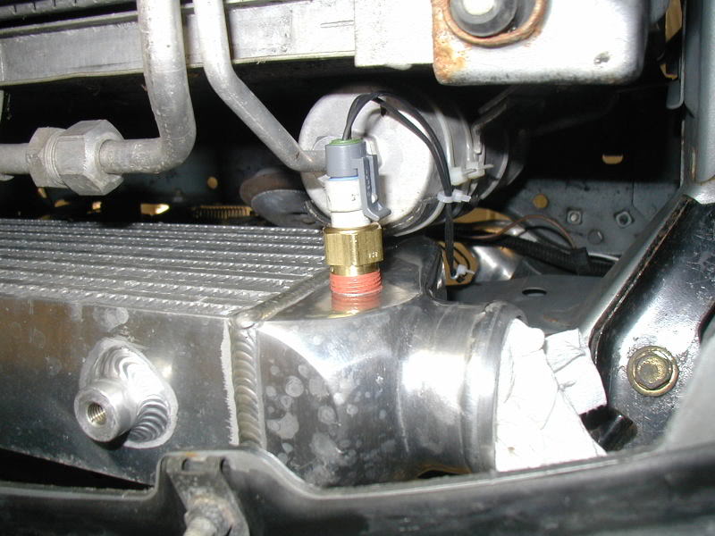 Name:  P1010189.jpg
Views: 566
Size:  75.7 KB