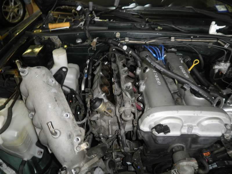 Name:  P6030016.jpg
Views: 98
Size:  86.2 KB