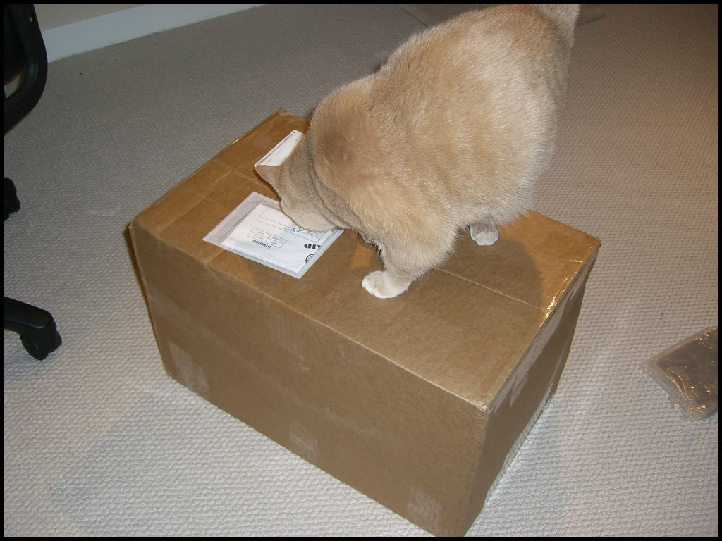 Name:  CIMG1842.jpg
Views: 254
Size:  148.3 KB