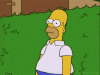 Something more Imaginative?-homer-simpson-bush-gif.gif