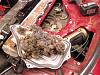 2jz Miata build thread-miata-fuel-pump-mouse-nest.jpg