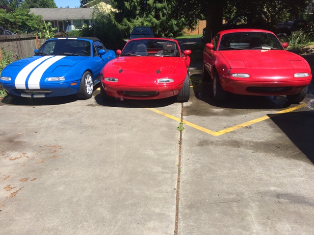 Name:  IMG_3742_zpswhtzkpdd.jpg
Views: 503
Size:  150.9 KB