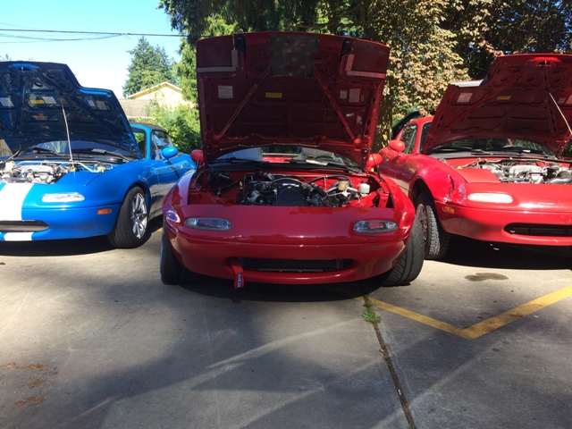 Name:  IMG_3747_zpsfljirqzb.jpg
Views: 459
Size:  159.3 KB