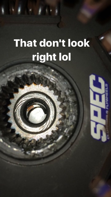 Name:  IMG_3723_zpsmn7jl73x.jpg
Views: 428
Size:  69.2 KB