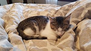 NB2 Turbo Redemption, or Just More Absurdity... Part Deux???-20161223_130556.jpg