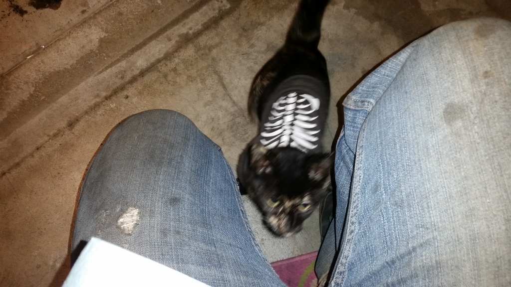 Name:  20160912_222037.jpg
Views: 311
Size:  269.1 KB