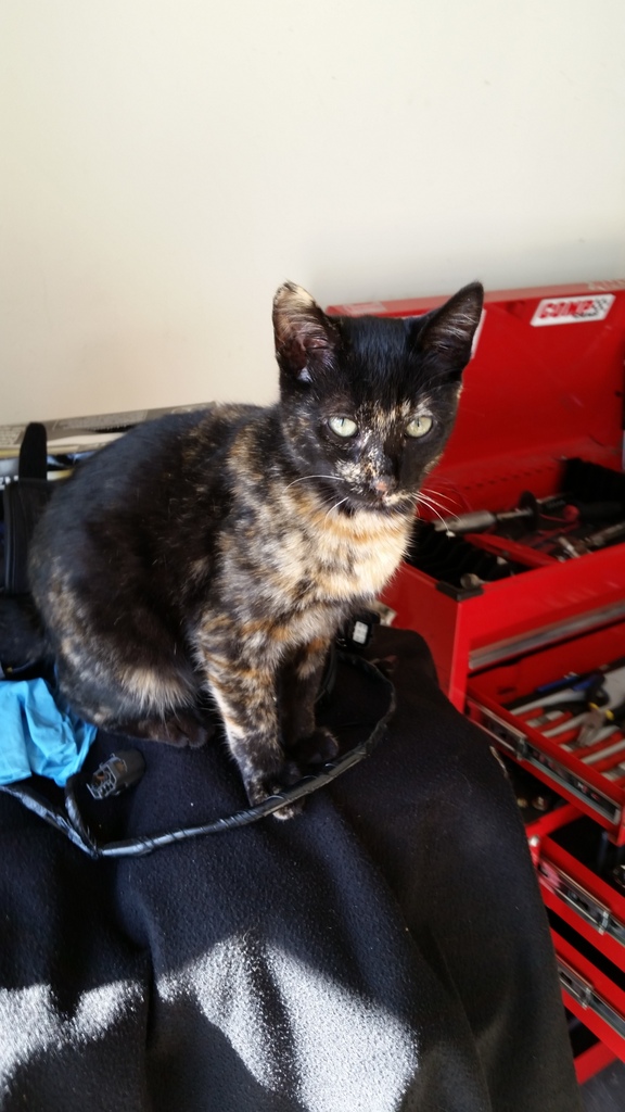 Name:  20160914_100723.jpg
Views: 339
Size:  197.7 KB