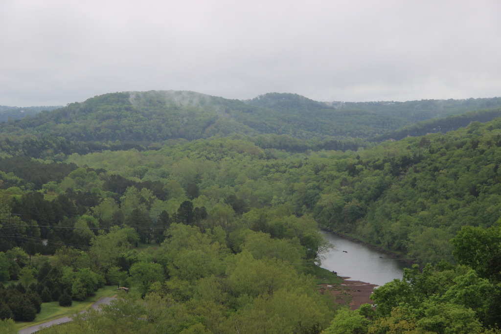 Name:  IMG_3809_zpsnjpemhp7.jpg
Views: 1083
Size:  182.3 KB