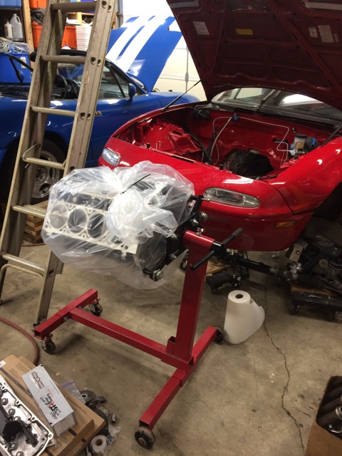 Name:  IMG_3436_zpsdfdn4eru.jpg
Views: 324
Size:  152.3 KB