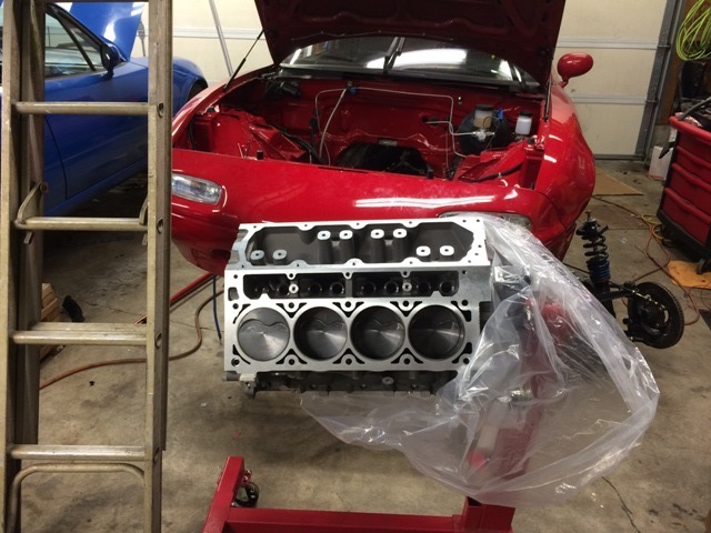 Name:  IMG_3437_zpszdof68nz.jpg
Views: 336
Size:  111.9 KB