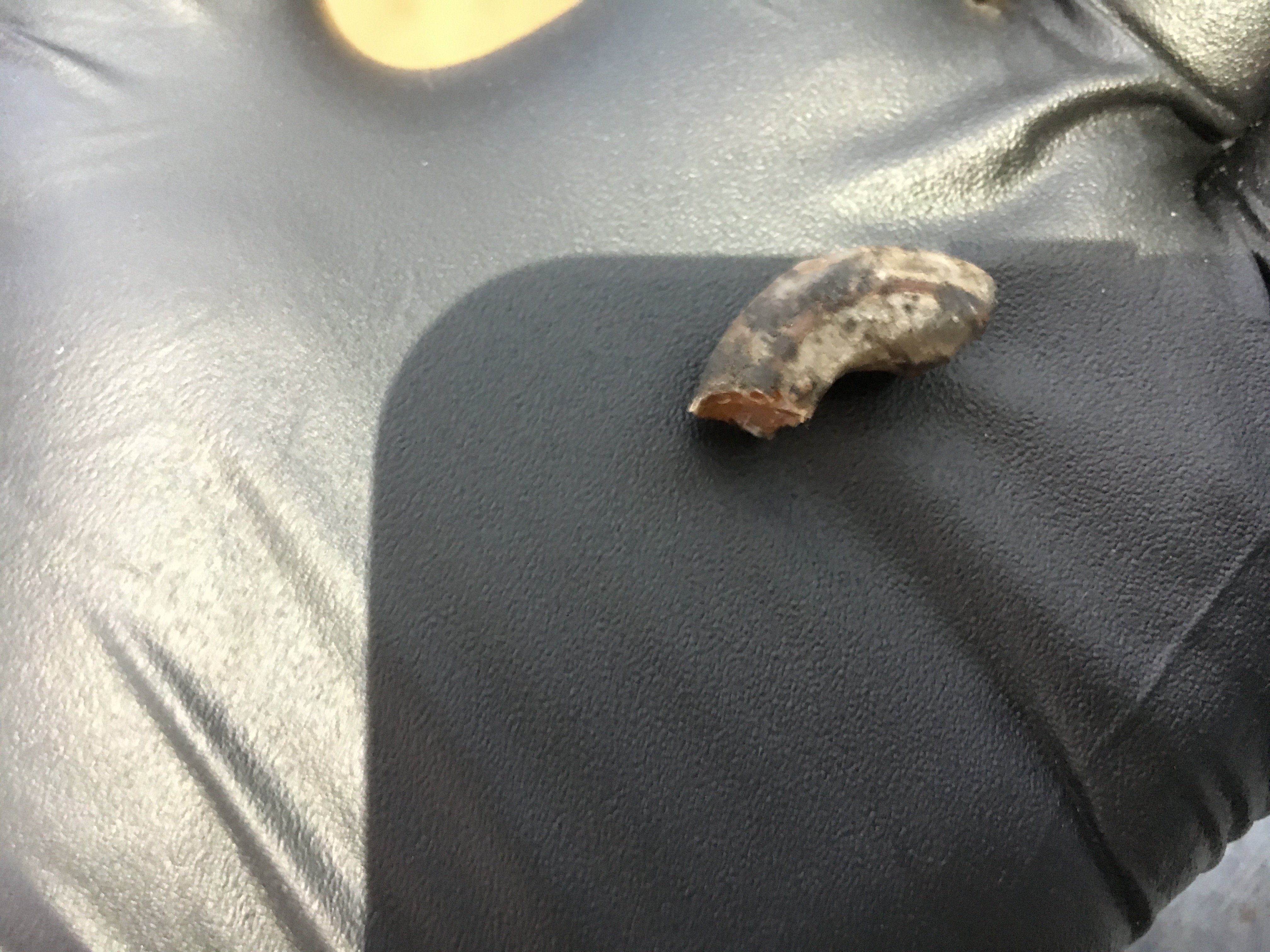 Name:  57CE02AF-6919-443F-A77B-1DC0EBC56DF5_zpsdt0dejzc.jpg
Views: 193
Size:  1.94 MB