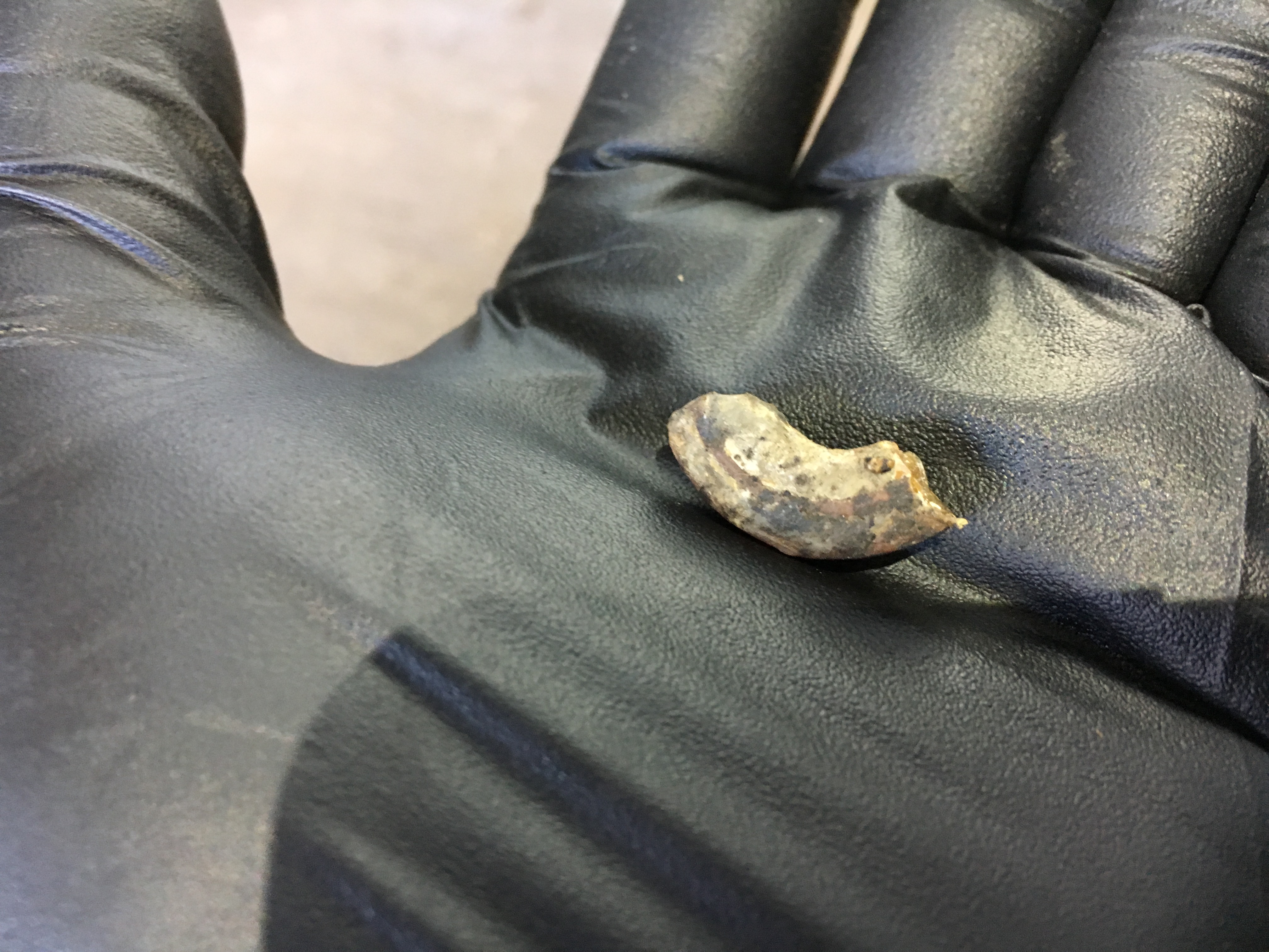 Name:  24053D84-16C4-41E6-A7B4-B088E7781389_zps3qtqg8w1.jpg
Views: 251
Size:  2.09 MB