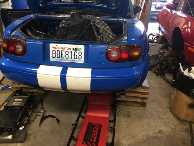 Name:  IMG_3392_zpsuxkafap9.jpg
Views: 319
Size:  145.3 KB