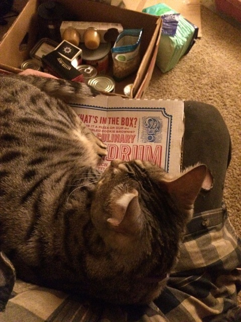 Name:  IMG_3382_zpsecaoyk0t.jpg
Views: 364
Size:  116.0 KB