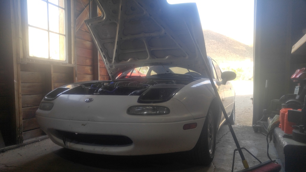 Name:  0331170829_HDR_zpsvhj1zeqt.jpg
Views: 133
Size:  198.1 KB