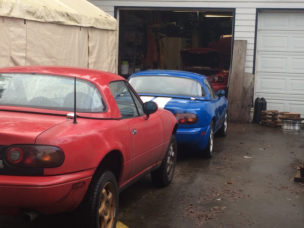 Name:  IMG_3137_zpsxmgwkvmh.jpg
Views: 365
Size:  192.6 KB