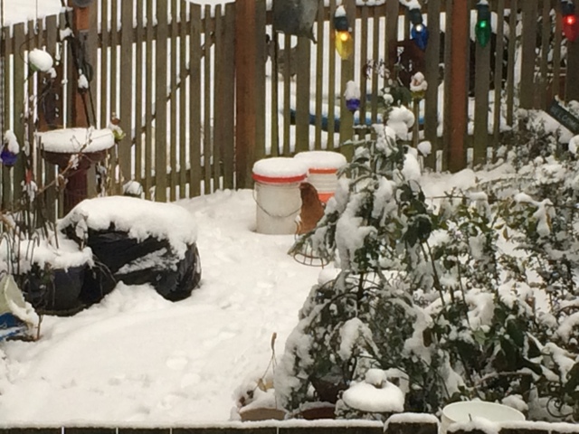 Name:  IMG_3087_zpsxitexw8s.jpg
Views: 383
Size:  155.0 KB