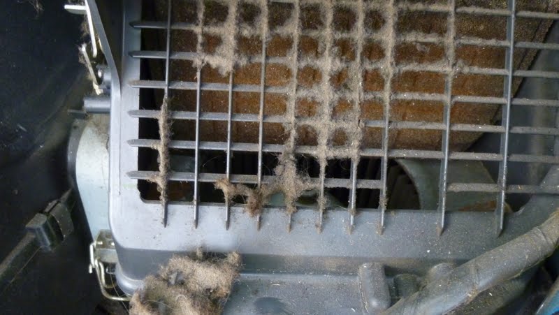 Name:  P1060497.jpg
Views: 189
Size:  65.5 KB