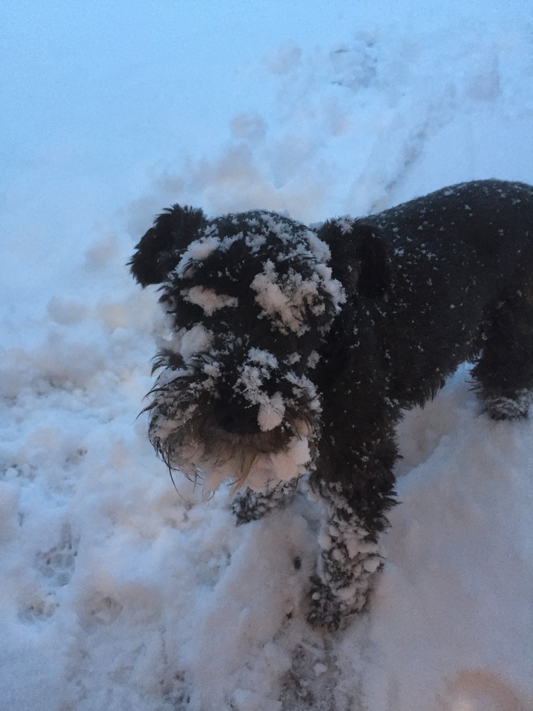 Name:  3066A7CB-9442-40B3-80CD-AEB1825B2C50_zpsue9umkzo.jpg
Views: 337
Size:  169.7 KB