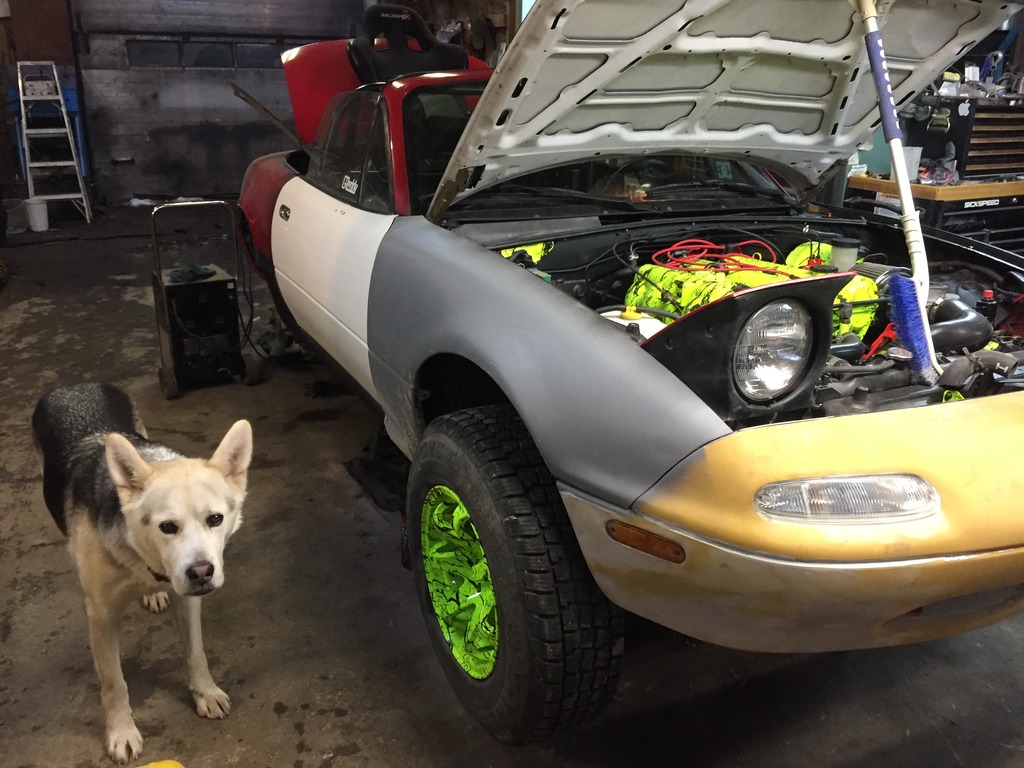 Name:  DB57C960-F4DD-4FF8-AAE3-5E8DC1D7B01C_zpsxuoeiktz.jpg
Views: 315
Size:  215.9 KB