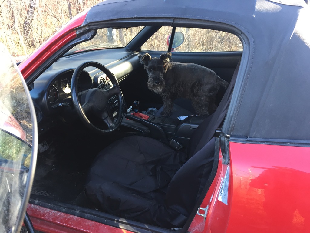 Name:  6F42D35E-97BE-4375-B8B0-F037ADC8F84D_zpse928k9l1.jpg
Views: 504
Size:  197.7 KB