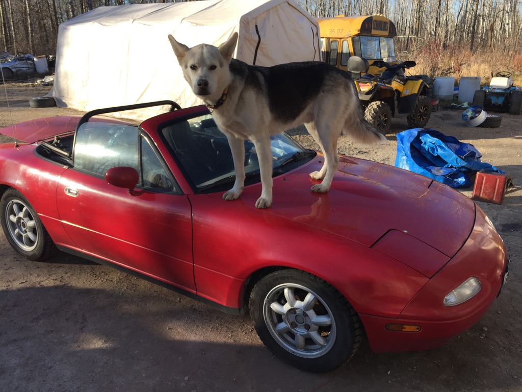 Name:  CEF12624-0231-448D-872E-B820C882D621_zpsdmr4jkws.jpg
Views: 529
Size:  227.1 KB