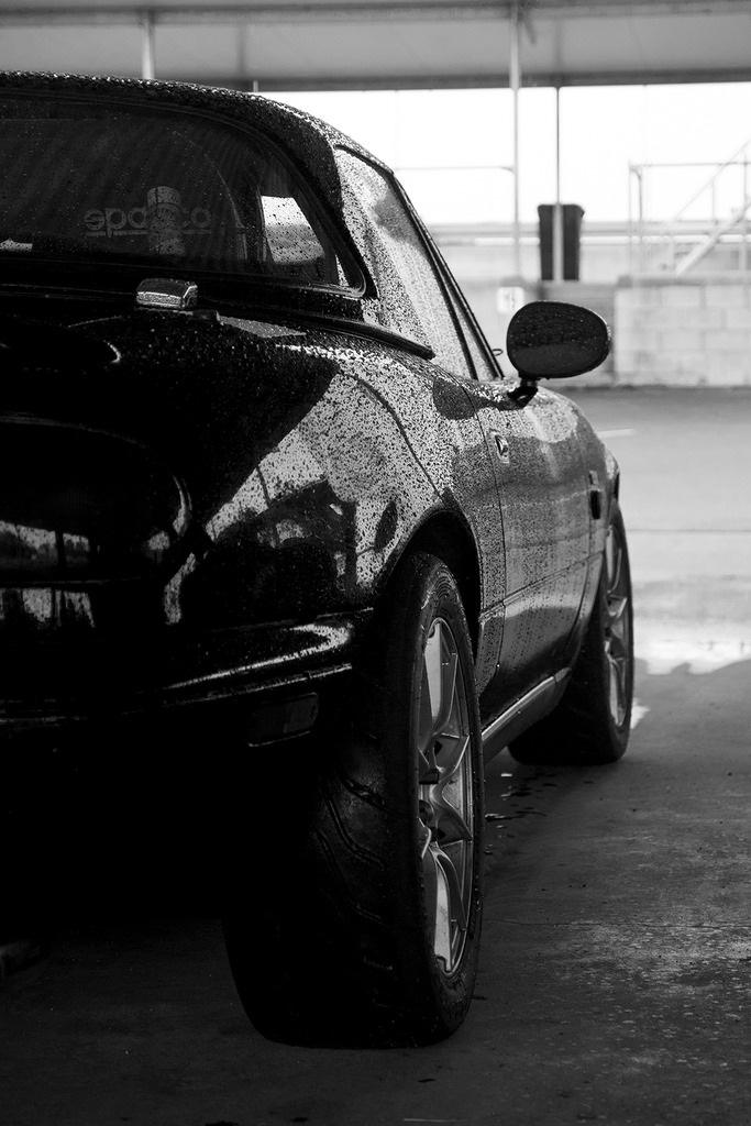 Name:  P8320049_zps9tykp4ye.jpg
Views: 7710
Size:  175.2 KB