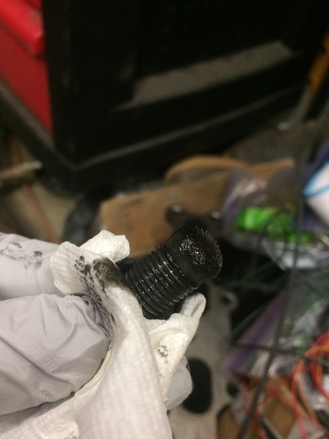 Name:  IMG_2900_zpsfyviae8n.jpg
Views: 375
Size:  95.3 KB