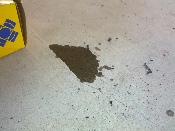 Name:  478581_10151651364907533_812202766_o_zpsaf384ef1.jpg
Views: 2923
Size:  65.6 KB