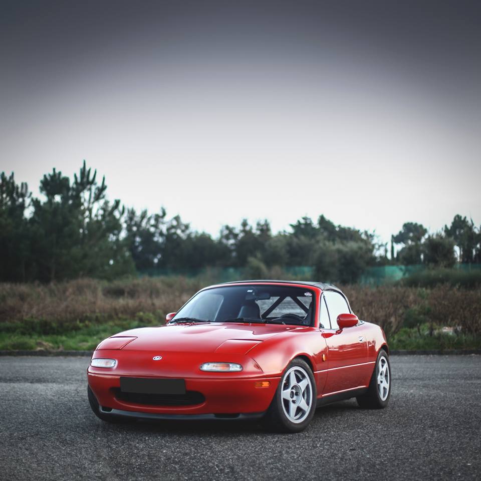 Name:  10884373_10152577436898807_1335879574_n_zps0815ac7b.jpg
Views: 551
Size:  82.1 KB