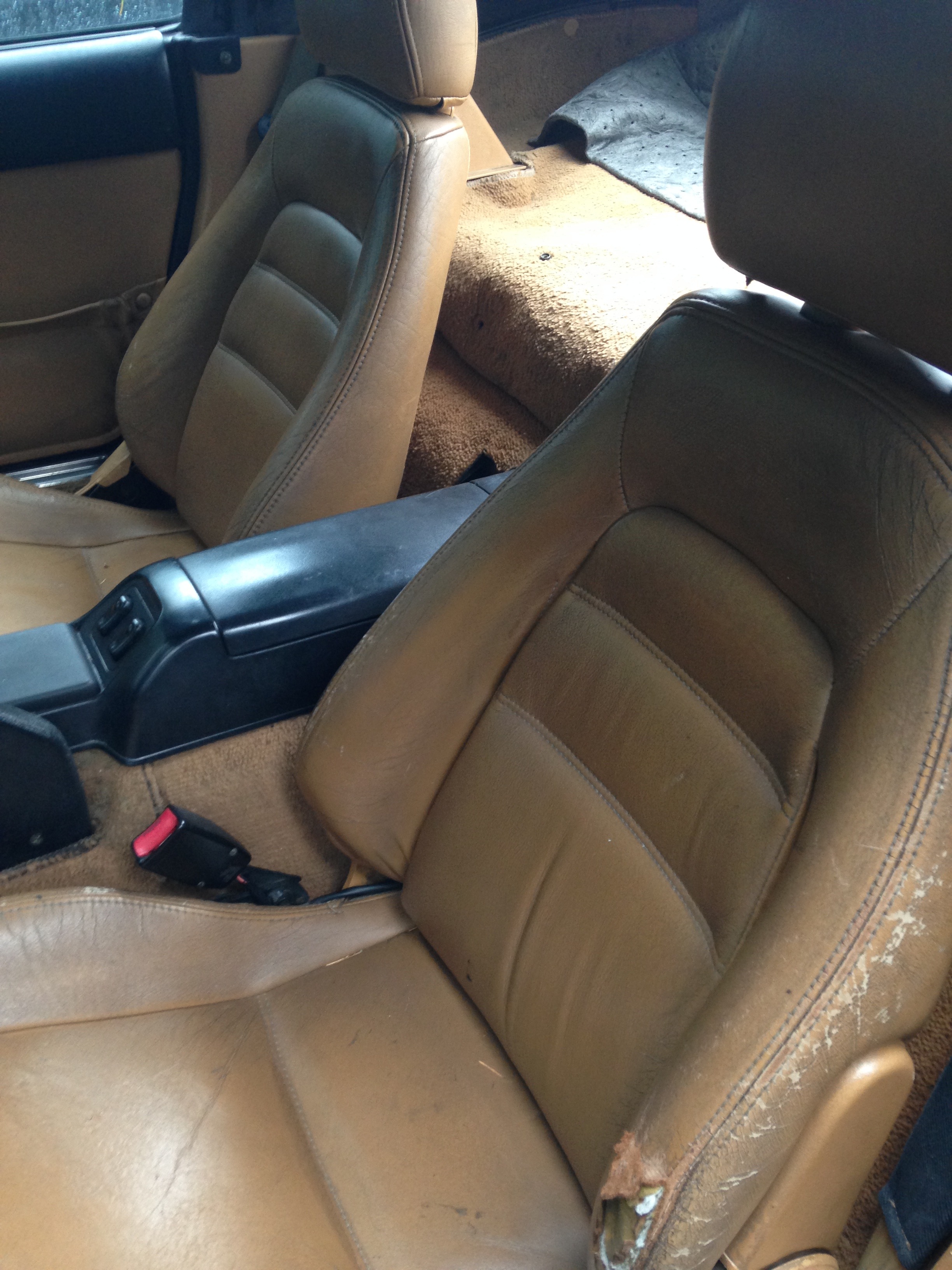 Name:  9F3695C8-C727-4AA0-B0CD-448851A25DFD_zpshv6fuo4p.jpg
Views: 144
Size:  1.38 MB