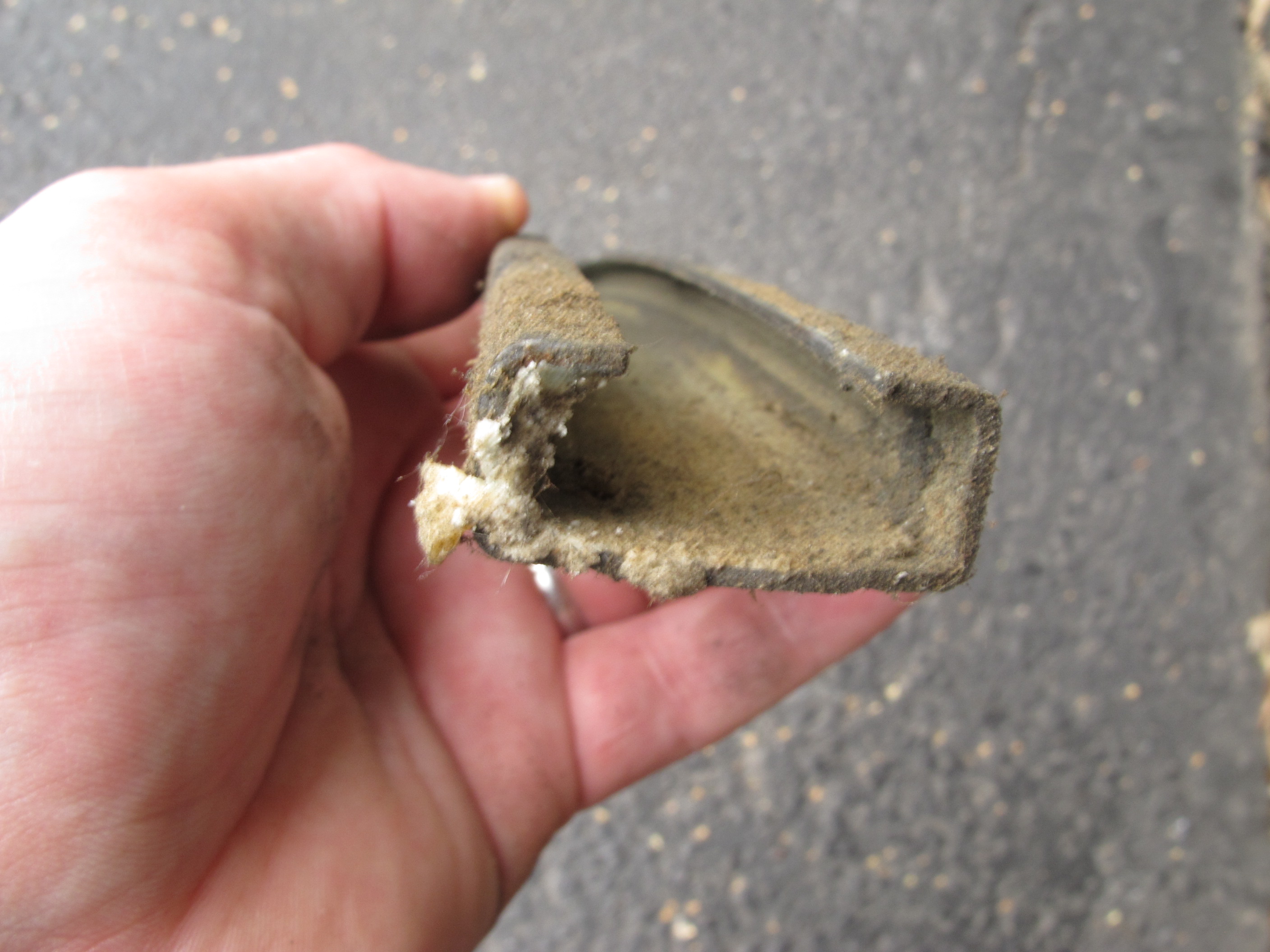 Name:  IMG_2451_zpscddbbc38.jpg
Views: 1794
Size:  1.02 MB