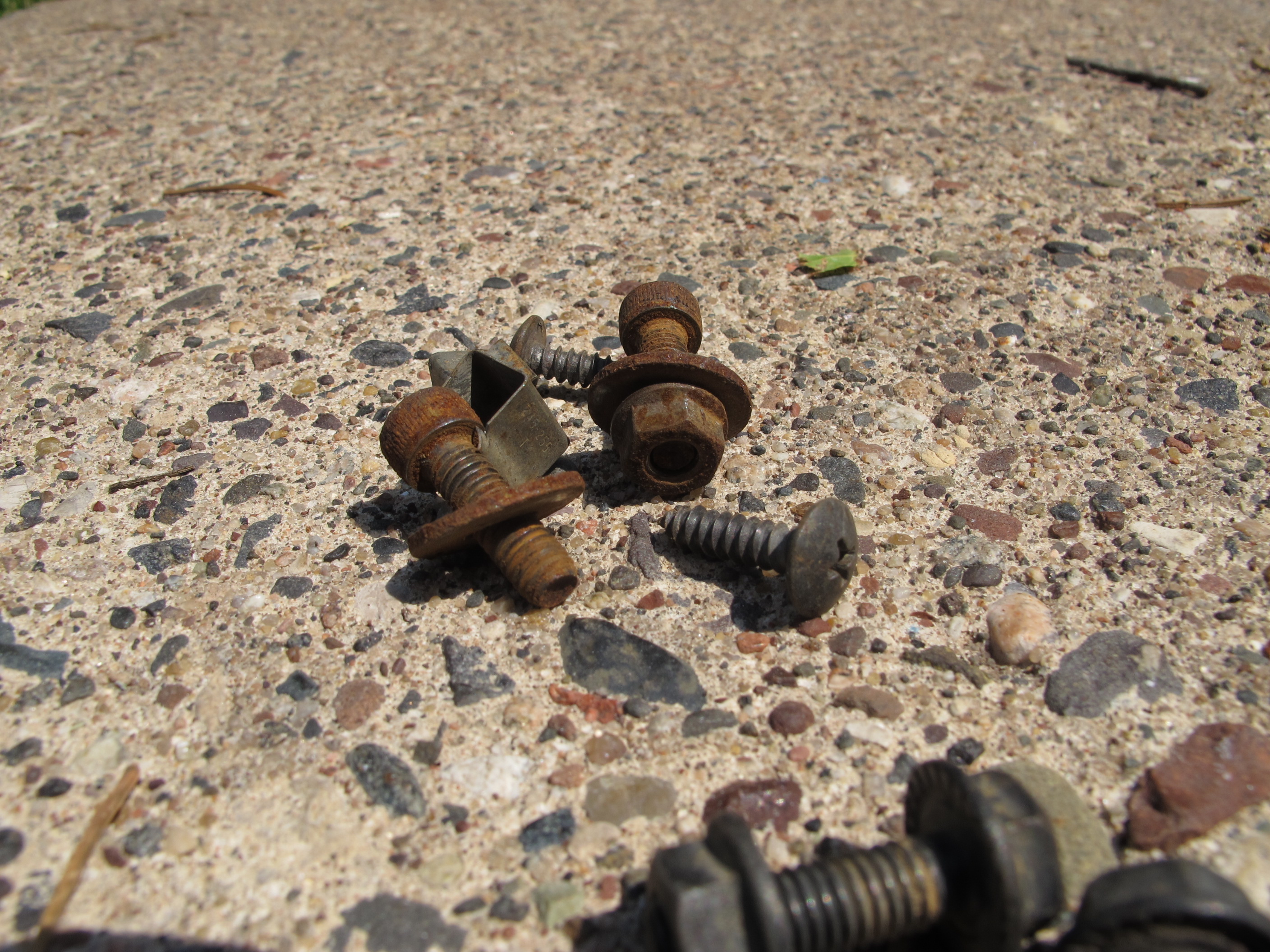 Name:  IMG_1799_zps1c984977.jpg
Views: 1802
Size:  1.72 MB