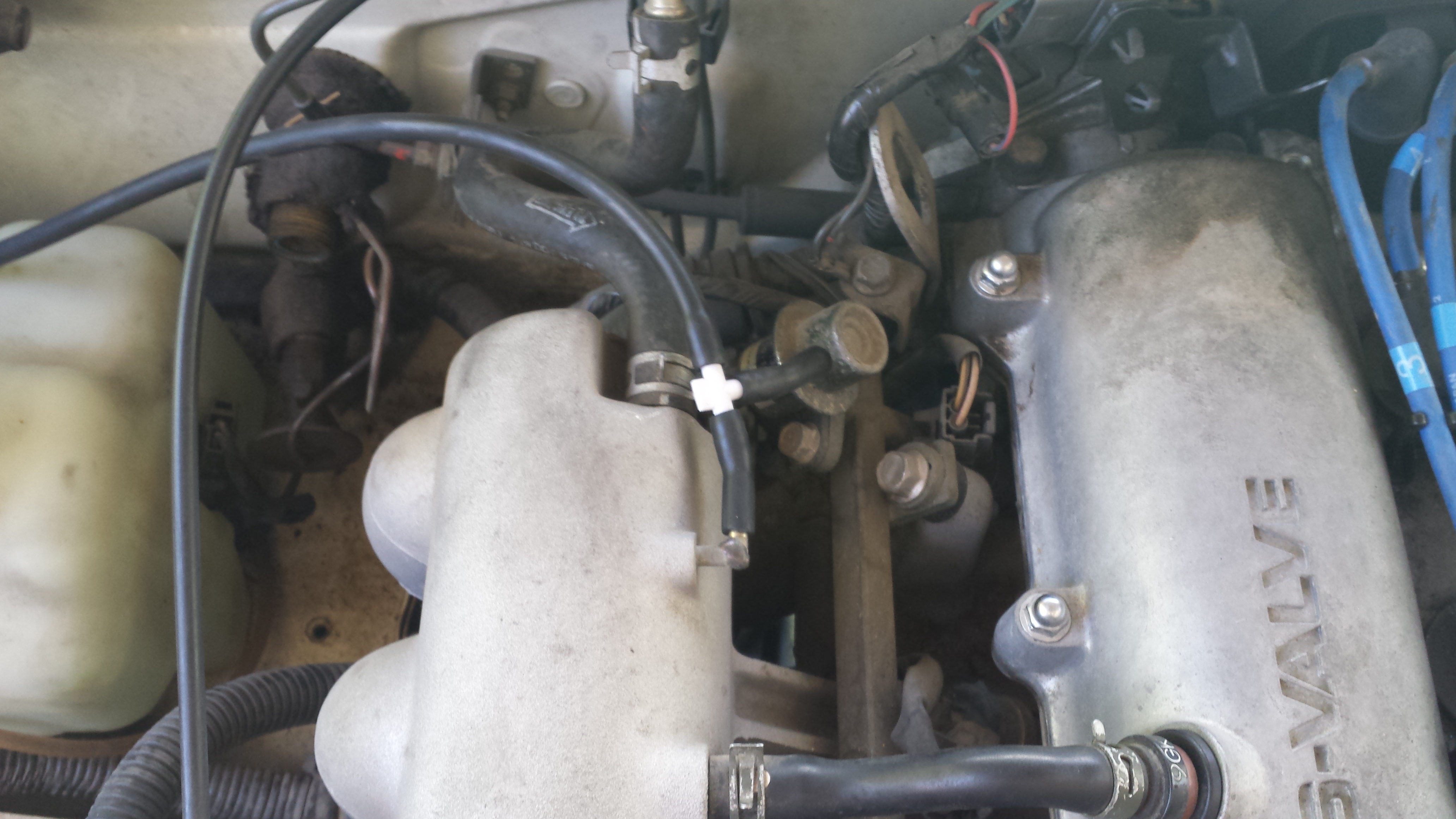 Name:  20140630_115657_zpsvw568v5g.jpg
Views: 869
Size:  2.12 MB