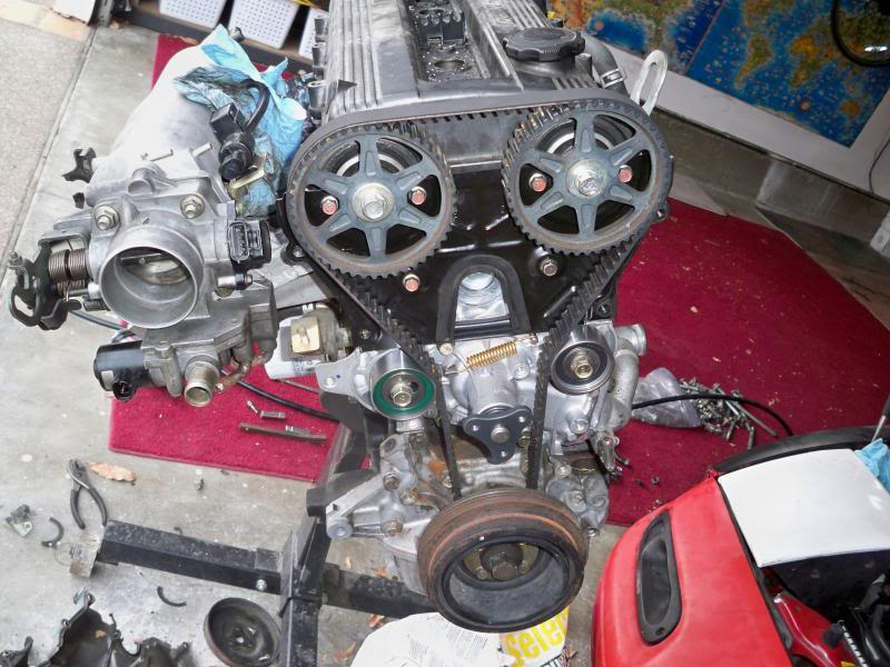 Name:  100_1518.jpg
Views: 4184
Size:  89.0 KB