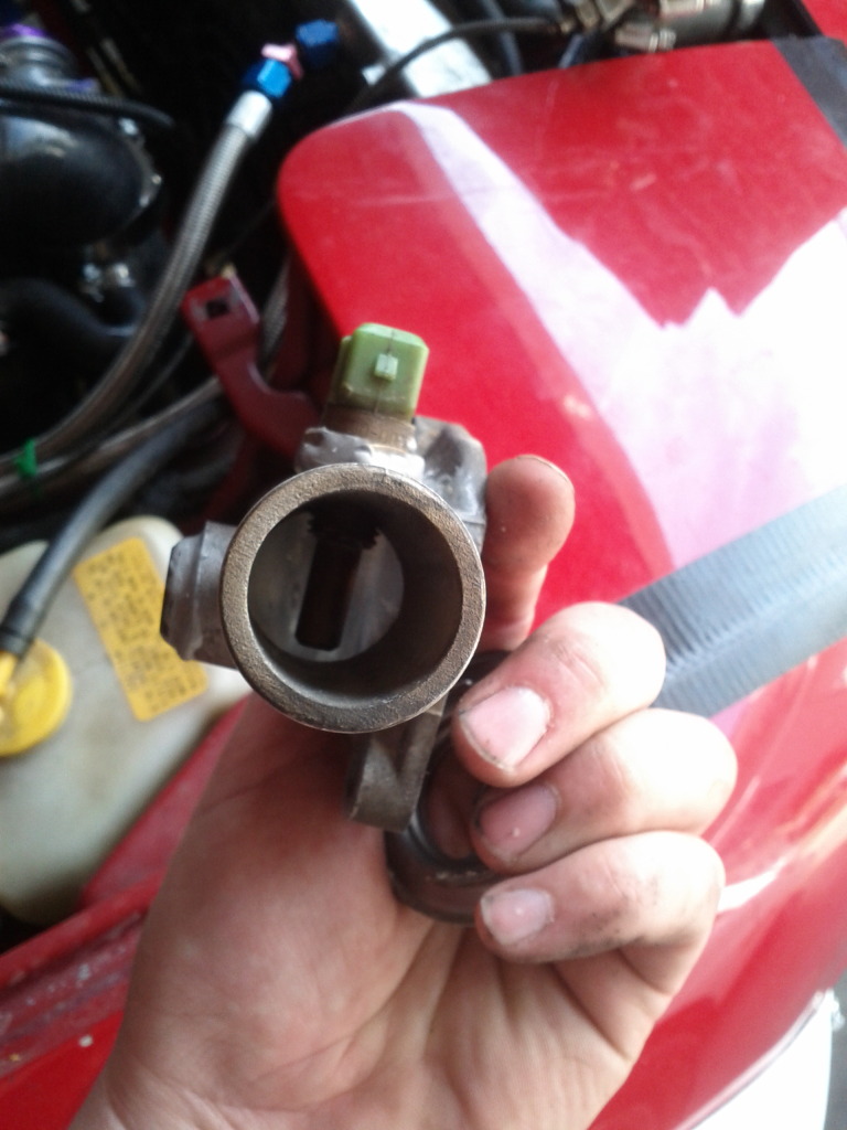 Name:  IMG_20120819_124229.jpg
Views: 355
Size:  163.3 KB