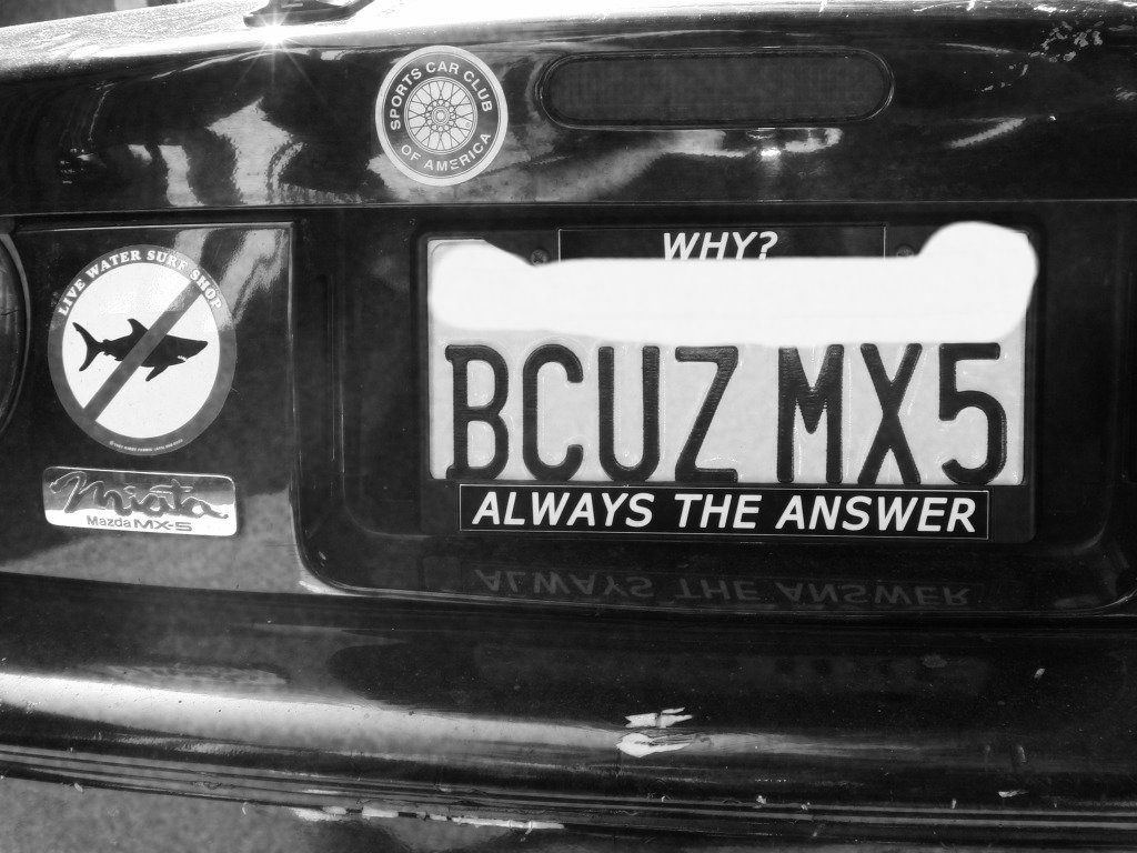 Name:  CIMG0046-2.jpg
Views: 216
Size:  152.5 KB