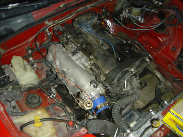 Name:  DSC07958.jpg
Views: 101
Size:  78.7 KB