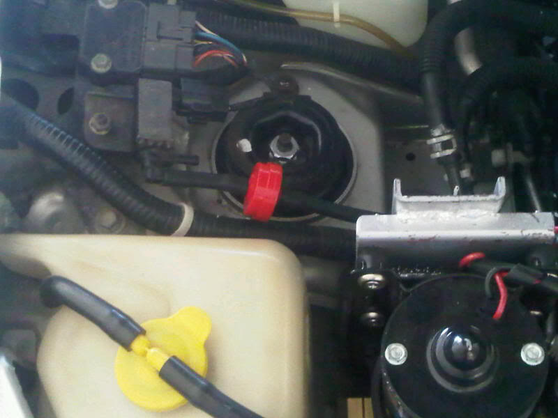 Name:  IMG00261-20110704-1615.jpg
Views: 883
Size:  44.5 KB