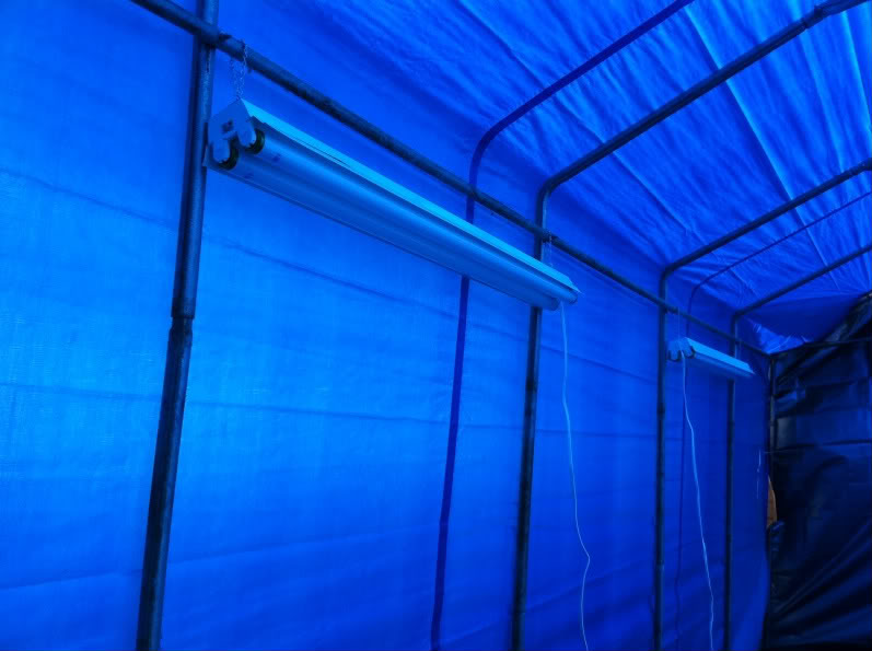 Name:  IMG_0422.jpg
Views: 251
Size:  60.5 KB