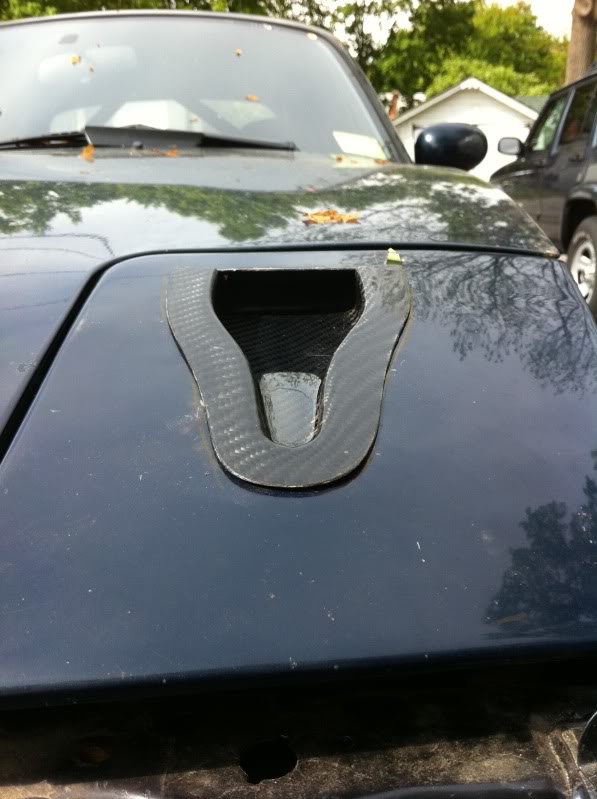 Name:  IMG_0412.jpg
Views: 224
Size:  66.2 KB