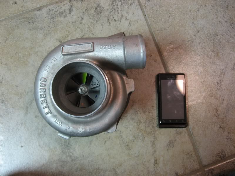 Name:  IMG_0446800x600.jpg
Views: 193
Size:  78.2 KB