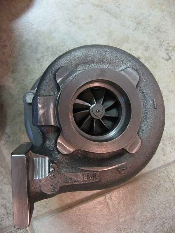 Name:  IMG_0442800x600.jpg
Views: 185
Size:  83.9 KB