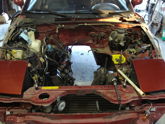 Name:  DSC02327.jpg
Views: 1728
Size:  95.9 KB