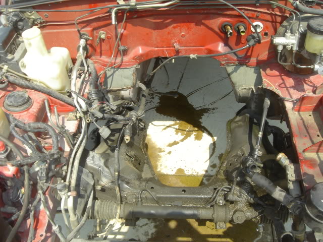 Name:  DSC07945.jpg
Views: 160
Size:  85.5 KB